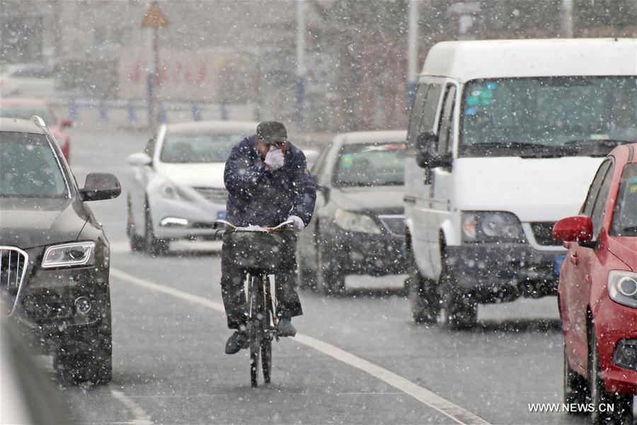 E China's Yantai witnesses first snowfall this winter