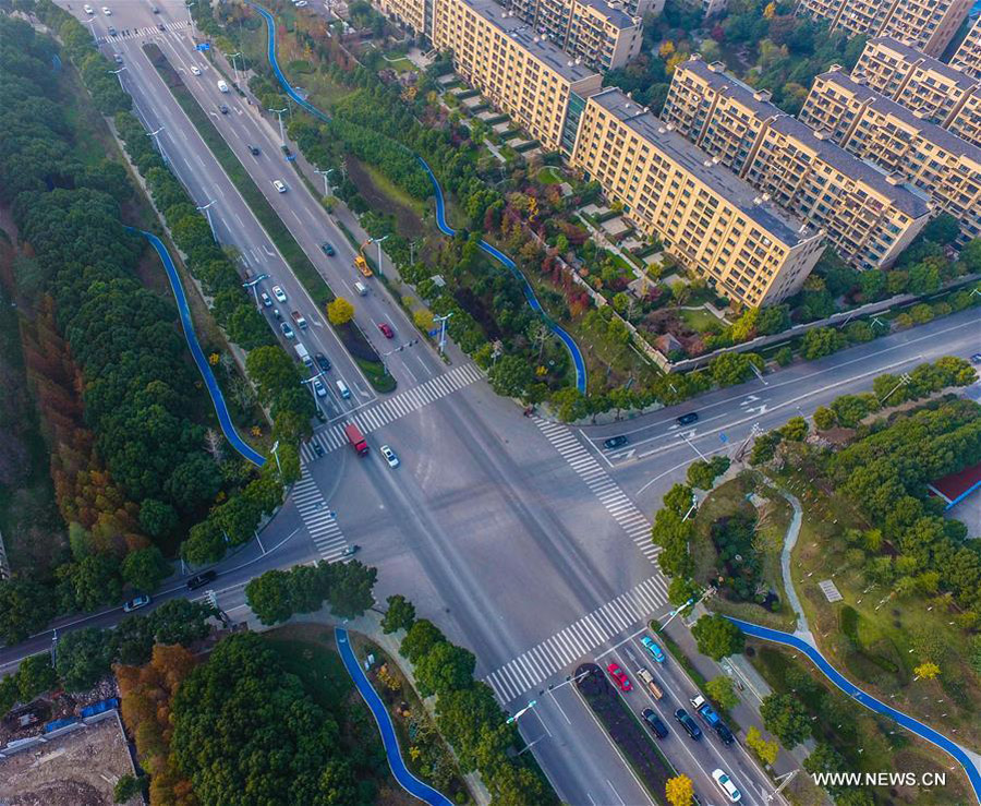 Blue roads offer people eco-friendly travel choice in E China
