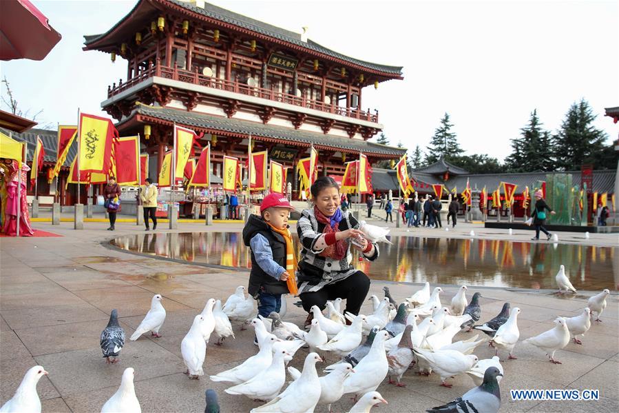 Ancient cities to be connected by Xi'an-Chengdu high-speed railway