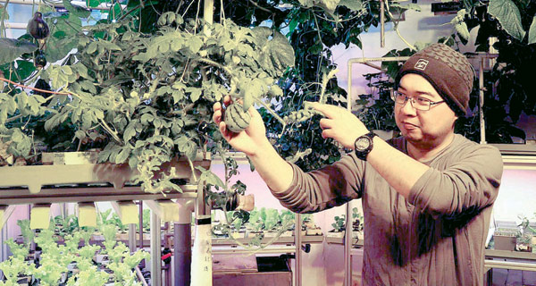 S. Pole team grows own veggies now