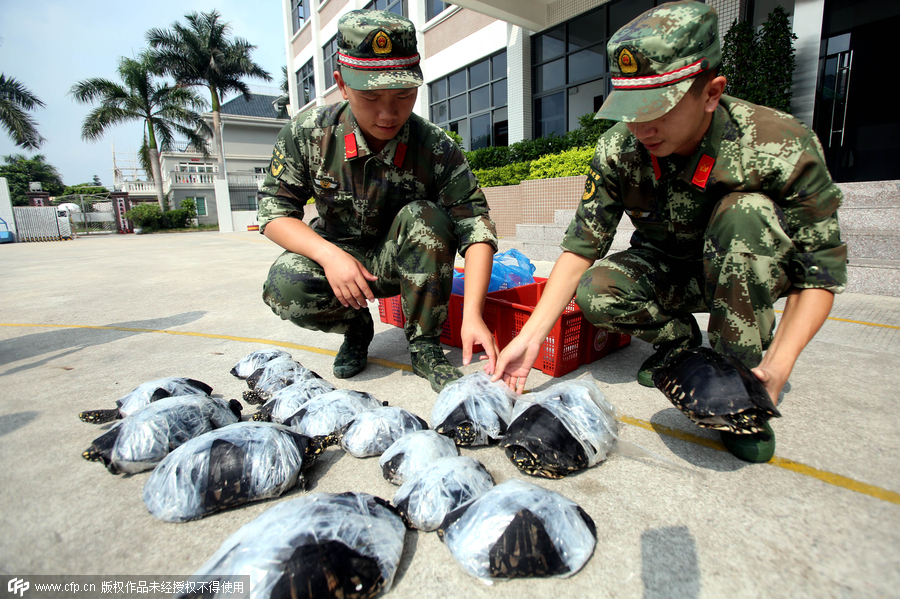 280 smuggled turtles intercepted in South China
