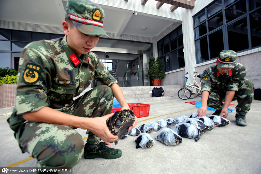 280 smuggled turtles intercepted in South China