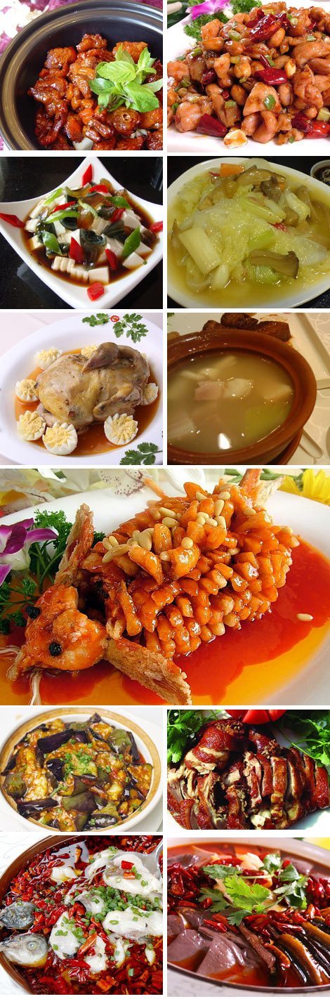 Poll on your China's favorite dishes