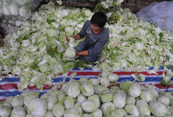 Cabbage patch economics