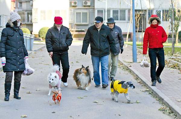 Canine therapy