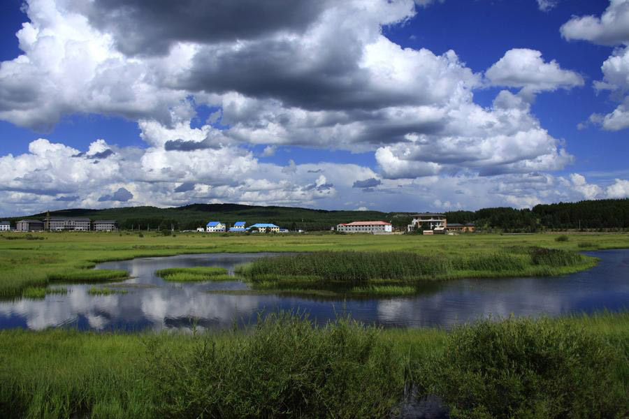 Xi stresses efforts to build ecological civilization