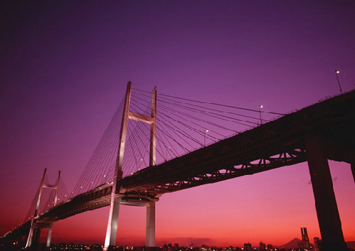 China drivers fined for slow-drive on scenic bridge