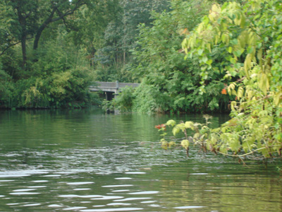 West Lake of 'Paradise' returns due to protection efforts