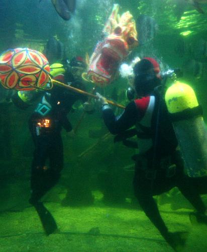 Lunar New Year celebrations all-around in China