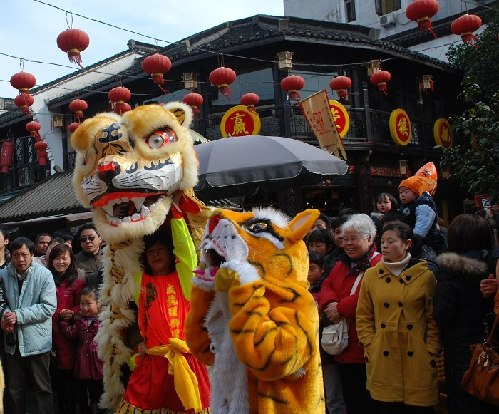 Tiger parade spreads happiness