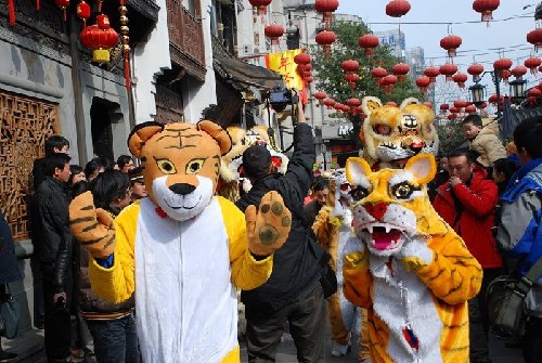 Tiger parade spreads happiness