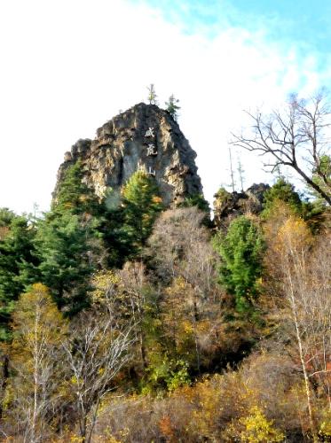 Scenic spots to visit for Year of Tiger