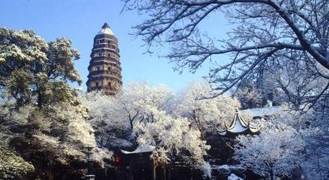 Scenic spots to visit for Year of Tiger