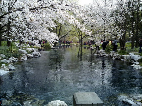 Taizi Bay Park