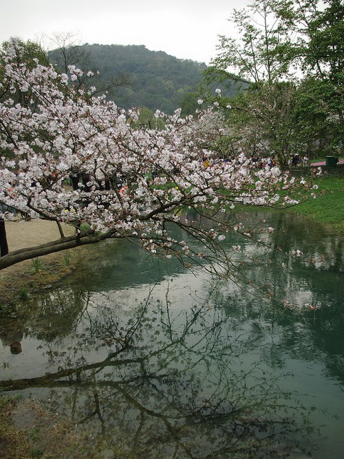 Taizi Bay Park