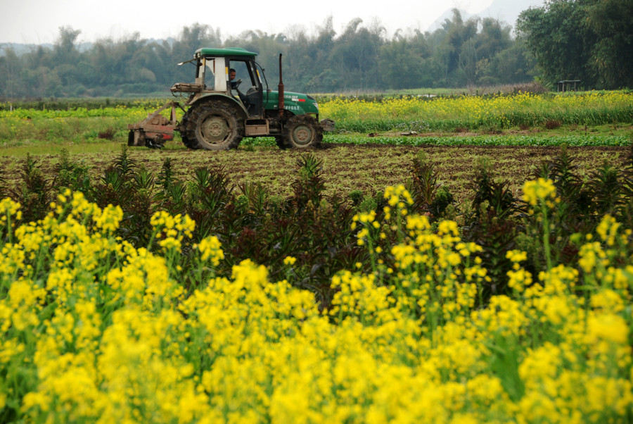 Des fleurs épanouies saluent le printemps