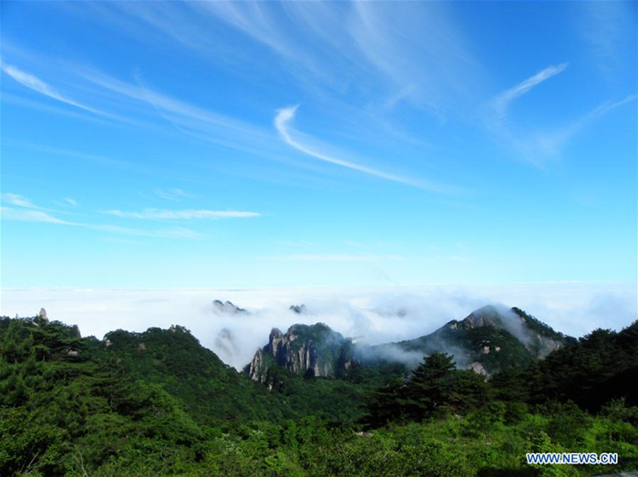 Entrée gratuite au mont Huangshan pour les étrangers cet hiver