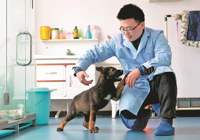 La Chine s’arme de son premier chien policier cloné