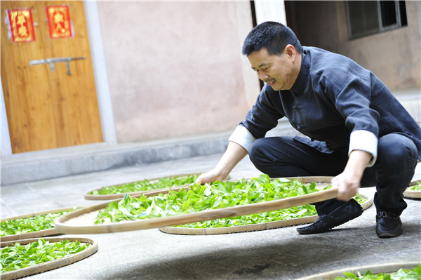 La voie du thé Oolong au succès offre un bon remboursement