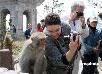 Foreigners favor Monkey King's hometown