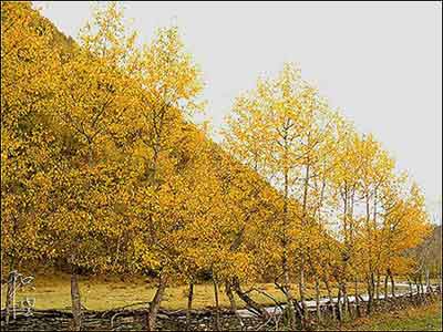 Amazing scenery in Danba Valley <br>