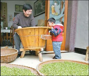 Longjing's cup overflows