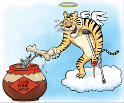 Tiger, thou art but a mouse