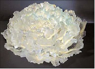 Yang wows New York with master class in glass art