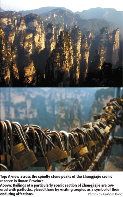 Nature's skyscrapers