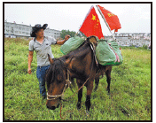 On chinadaily.com.cn