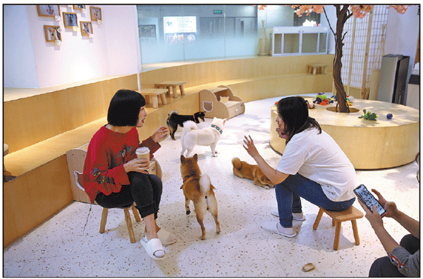 More city dwellers enamored with unique, exotic animal themed cafes