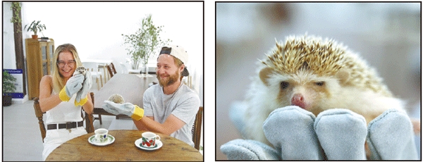 More city dwellers enamored with unique, exotic animal themed cafes