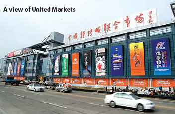 Attractive investment options galore