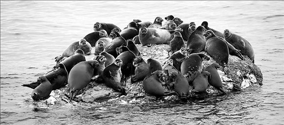 Seal of approval