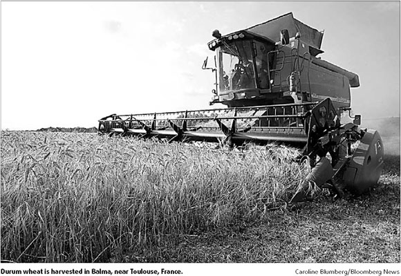Wheat tops $9 as stock shrinks