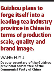 Guizhou: Brewing a perfect beverage