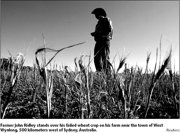 Drought drives Australian wheat farmers to brink
