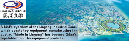 Areas spur Lingang Industrial Zone's development