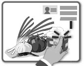 Biz Scene: BIZ UNUSUAL