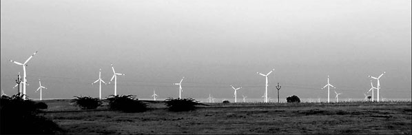 Green tycoon heralds wind of change