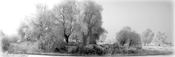Special Supplement: Jilin's rime dazzles and inspires