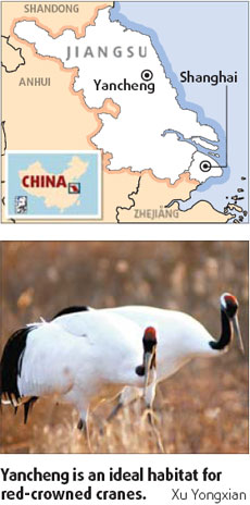 'Stealing the autumn' in seaside Yancheng