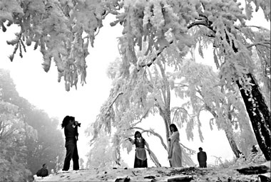 Heavy snow wreaks havoc