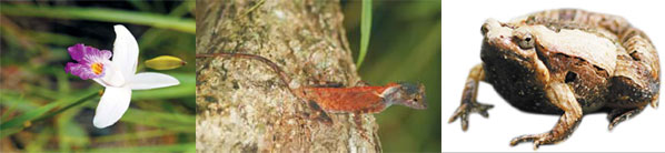 Walk on Hainan's wild side