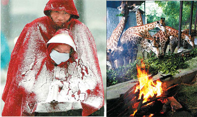 Story of a cold snap