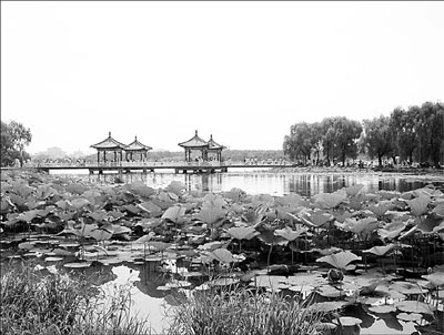 Special supplement: Economy and quality of life bloom in Changchun