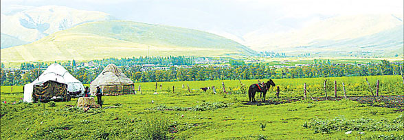 Where grass is greener