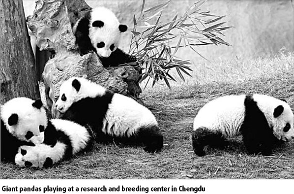 Special supplement: Chengdu looks to bridge urban-rural growth gap