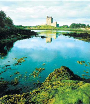 Rhythm, riches and roar of a Celtic tiger