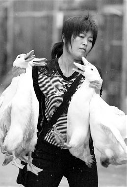 Vendors hurt by poultry bans